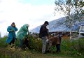 Рабочие сажают цветы в природно-ландшафтном парке Зарядье в Москве Рабочие сажают цветы в природно-ландшафтном парке Зарядье в Москве