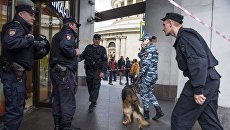 Сотрудники полиции в Санкт-Петербурге. Архивное фото Сотрудники полиции в Санкт-Петербурге. Архивное фото