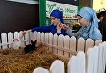 Посетители на XVIII Московском Международном конкурсе чтецов Корана в Москве Посетители на XVIII Московском Международном конкурсе чтецов Корана в Москве