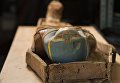 Мумия с позолоченной картонажной маской в деревянном саркофаге, найденная в ходе археологических исследований, проводимых ЦЕИ РАН на памятнике Дейр эль-Банат в Фаюмском оазисе Египта Мумия с позолоченной картонажной маской в деревянном саркофаге, найденная в ходе археологических исследований, проводимых ЦЕИ РАН на памятнике Дейр эль-Банат в Фаюмском оазисе Египта