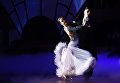 Участники вечера, посвященного 60-летию танцевального спорта в России, в Малом зале Государственного Кремлевского дворца Участники вечера, посвященного 60-летию танцевального спорта в России, в Малом зале Государственного Кремлевского дворца
