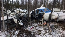 Обломки самолета L-410, потерпевшего крушение при заходе на посадку в аэропорту Нелькан. Архивное фото Обломки самолета L-410, потерпевшего крушение при заходе на посадку в аэропорту Нелькан. Архивное фото