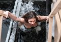 Участница фестиваля Петербургские Красавицы во время традиционного праздничного купания в Крещенский сочельник на реке Неве в Санкт-Петербуге Участница фестиваля Петербургские Красавицы во время традиционного праздничного купания в Крещенский сочельник на реке Неве в Санкт-Петербуге