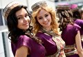 Грид-герлз перед началом Гран-при Формулы-1 в Баку, 19 июня 2016 года Грид-герлз перед началом Гран-при Формулы-1 в Баку, 19 июня 2016 года