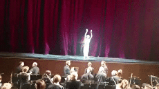 Премьер Новосибирского оперного театра на сцене сделал предложение балерине Премьер Новосибирского оперного театра на сцене сделал предложение балерине