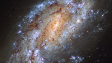 Галактика NGC 1559 в созвездии Сетки, один из самых одиноких объектов космоса. Архивное фото Галактика NGC 1559 в созвездии Сетки, один из самых одиноких объектов космоса. Архивное фото