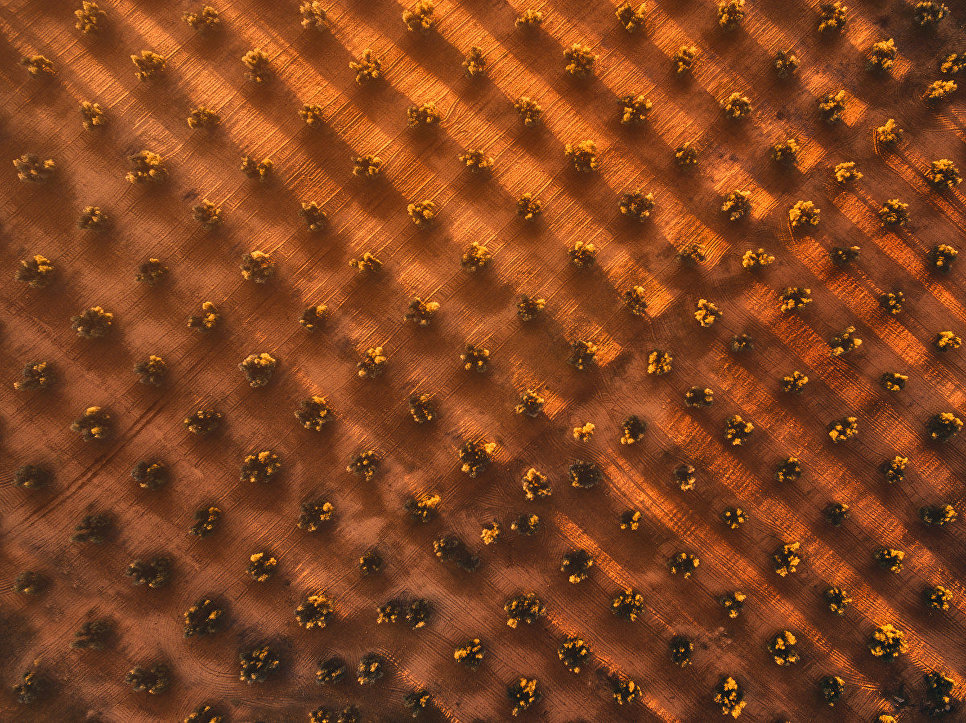 Снимок Геометрия жидкого золота (GEOMETRY OF LIQUID GOLD) фотографа Javier del Cerro, занявший второе место в категории Пейзаж Снимок Геометрия жидкого золота (GEOMETRY OF LIQUID GOLD) фотографа Javier del Cerro, занявший второе место в категории Пейзаж