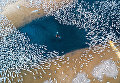 Снимок Выращивание уток (Raising ducks) фотографа Caokynhan, занявший третье место в категории Пейзаж Снимок Выращивание уток (Raising ducks) фотографа Caokynhan, занявший третье место в категории Пейзаж