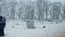 На месте крушения самолета Ан-148 в Московской области. 11 февраля 2018 На месте крушения самолета Ан-148 в Московской области. 11 февраля 2018