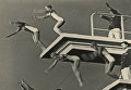 Работа фотографа Л. А. Бородулина Водный праздник, г. Москва, 1959 Работа фотографа Л. А. Бородулина Водный праздник, г. Москва, 1959