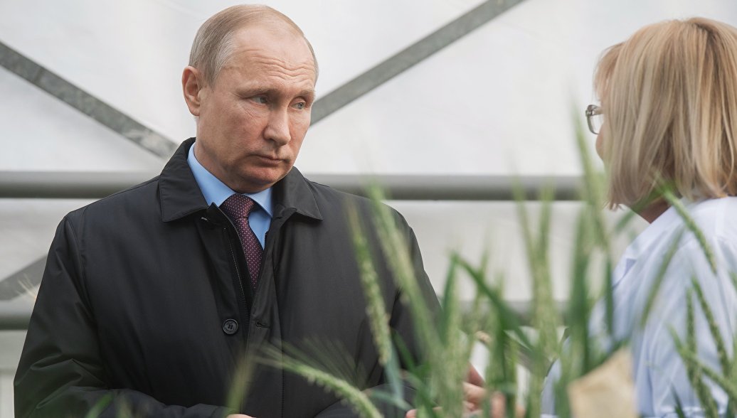 Экспорт сельхозпродукции стал выгоднее продажи вооружения, заявил Путин
