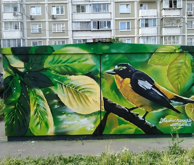 Желтоспинная мухоловка на улице Перерва,59б Желтоспинная мухоловка на улице Перерва,59б