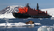 Морж на льдине у берегов одного из островов архипелага Земля Франца-Иосифа. Архивное фото Морж на льдине у берегов одного из островов архипелага Земля Франца-Иосифа. Архивное фото