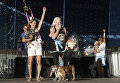 Конкурс Самая уродливая собака в мире(World's Ugliest Dog) Конкурс Самая уродливая собака в мире(World's Ugliest Dog)