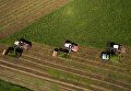 Заготовка сенажа на полях ЗАО Крутишинское в Новосибирской области Заготовка сенажа на полях ЗАО Крутишинское в Новосибирской области