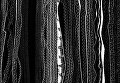 Работа фотографа Glenn Homann из Австралии Corrugations, занявшая первое место в категории Абстракция в фотоконкурсе 2018 iPhone Photography Awards Работа фотографа Glenn Homann из Австралии Corrugations, занявшая первое место в категории Абстракция в фотоконкурсе 2018 iPhone Photography Awards