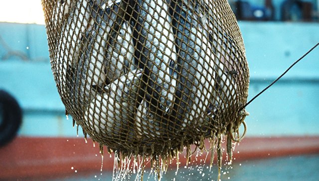 Россия и Аргентина подпишут соглашение по рыбному хозяйству 