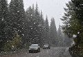 Снег на автомобильной дороге Р-257 в районе Буйбинского перевала в Красноярской крае Снег на автомобильной дороге Р-257 в районе Буйбинского перевала в Красноярской крае