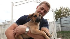 Заведующий приютом для бездомных собак Зеленоград Алексей Игнатов со своим питомцем Заведующий приютом для бездомных собак Зеленоград Алексей Игнатов со своим питомцем