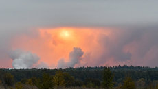 Дым от взрывов на складе с боеприпасами в районе населенного пункта Ичня Черниговской области, Украина. 9 октября 2018. Архивное фото Дым от взрывов на складе с боеприпасами в районе населенного пункта Ичня Черниговской области, Украина. 9 октября 2018. Архивное фото