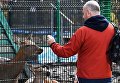 Посетители у вольера с пятнистыми оленями на территории зоопарка Садгород во Владивостоке Посетители у вольера с пятнистыми оленями на территории зоопарка Садгород во Владивостоке