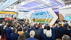 Агровыставка Золотая осень подводит итоги Агровыставка Золотая осень подводит итоги