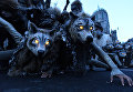 Группа уличных артистов Macnas на ежегодном параде по случаю праздника Хэллоуин в Ирландии Группа уличных артистов Macnas на ежегодном параде по случаю праздника Хэллоуин в Ирландии