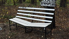 Скамья Новосибирск лес бор благоустройство студенты Скамья Новосибирск лес бор благоустройство студенты