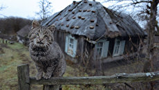 Ветхий дом в деревне. Архивное фото Ветхий дом в деревне. Архивное фото