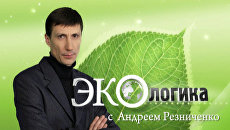 Почему Украине запретили торговать киотским воздухом Почему Украине запретили торговать киотским воздухом