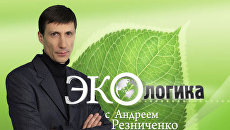 Последняя кладовая Земли, или Зачем человечеству Арктика Последняя кладовая Земли, или Зачем человечеству Арктика