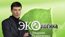 Химкинский лес: как вырубить заросли лжи, а деревья оставить в покое Химкинский лес: как вырубить заросли лжи, а деревья оставить в покое