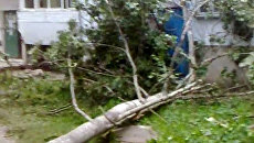 Ураган в Пскове Ураган в Пскове