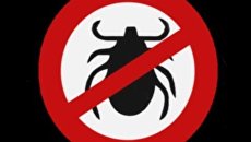 Простые советы о том, как уберечься от клещей. Видеоинструкция Простые советы о том, как уберечься от клещей. Видеоинструкция