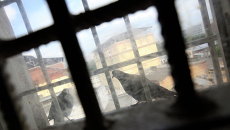 Окно с решеткой. Архивное фото Окно с решеткой. Архивное фото