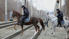 Кавалерийское подразделение полиции в Новосибирске Кавалерийское подразделение полиции в Новосибирске