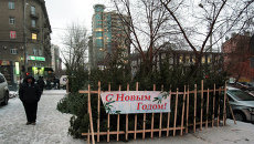 Продажа новогодних елей на улице в Новосибирске, архивное фото Продажа новогодних елей на улице в Новосибирске, архивное фото