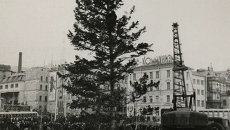 1970-е годы: елка на главной площади Владивостока, В советские времена общегородские елки были родом из тайги или из приморских лесхозов. 1970-е годы: елка на главной площади Владивостока, В советские времена общегородские елки были родом из тайги или из приморских лесхозов.