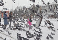 Зимний отдых томичей Зимний отдых томичей