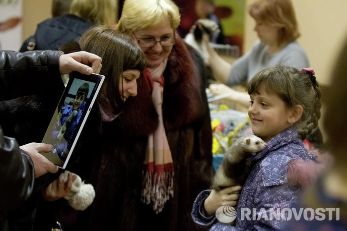 Выставка декоративный животных Маленький да удаленький в Томске Выставка декоративный животных Маленький да удаленький в Томске