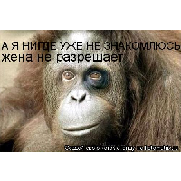 Сергей Веселов