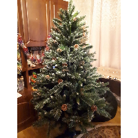 Игорь Бердин